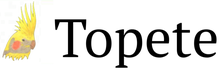 Topete Research Group